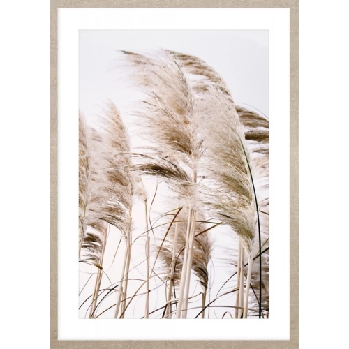 OBRAZ PAMPAS GRASS ON THE WIND NO.2